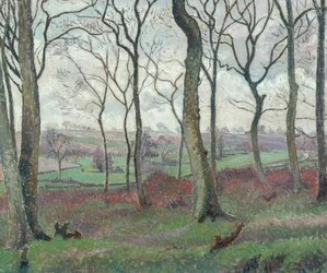 Die Dunmow Road von Tilty Wood, 1915